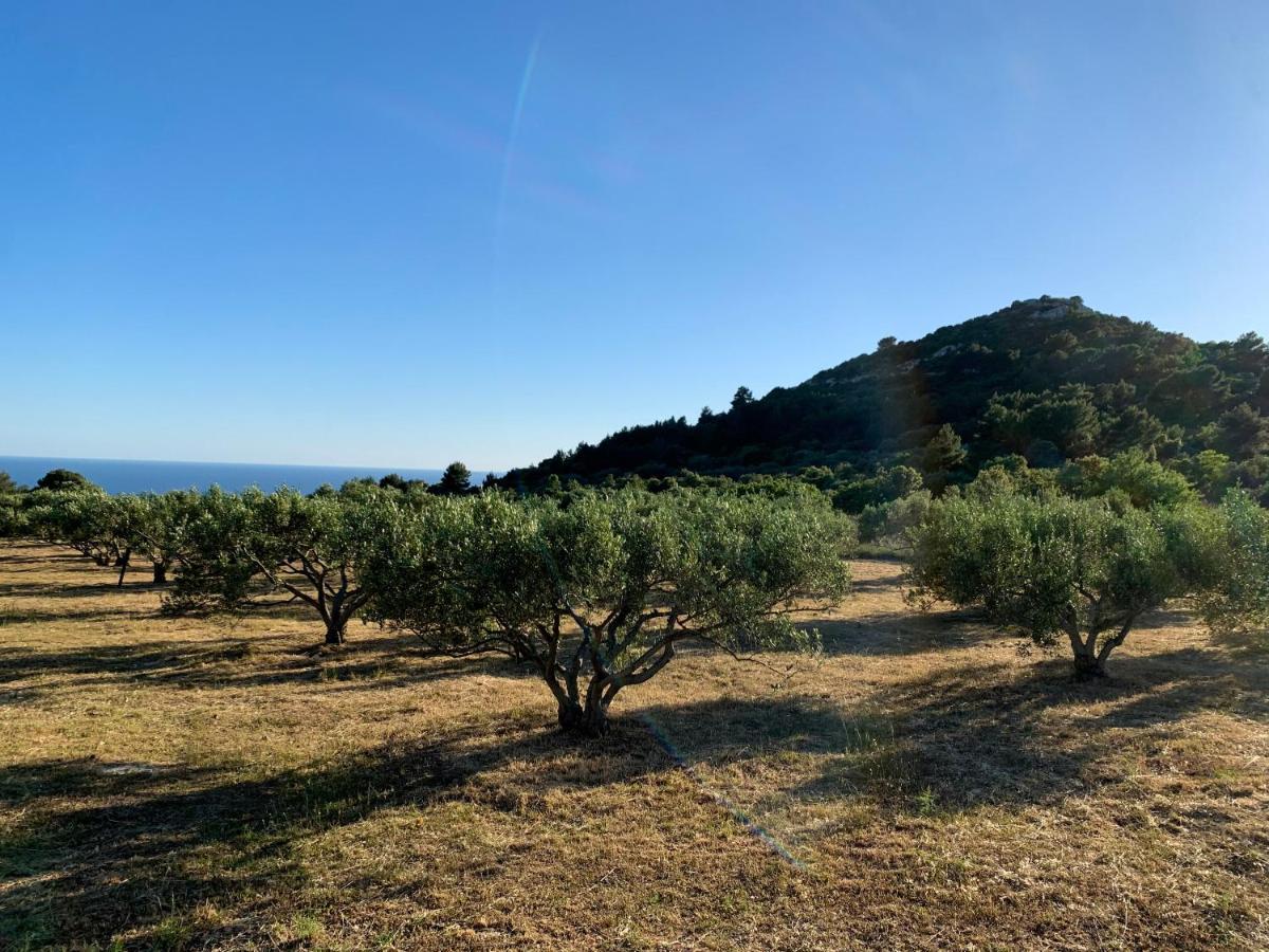 Počitniška hiša Kuca Napoje Hvar